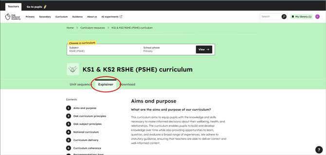 RSHE curriculum explainer position